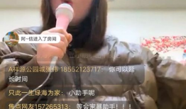 直播性爱在线,揭秘网络直播的隐秘角落